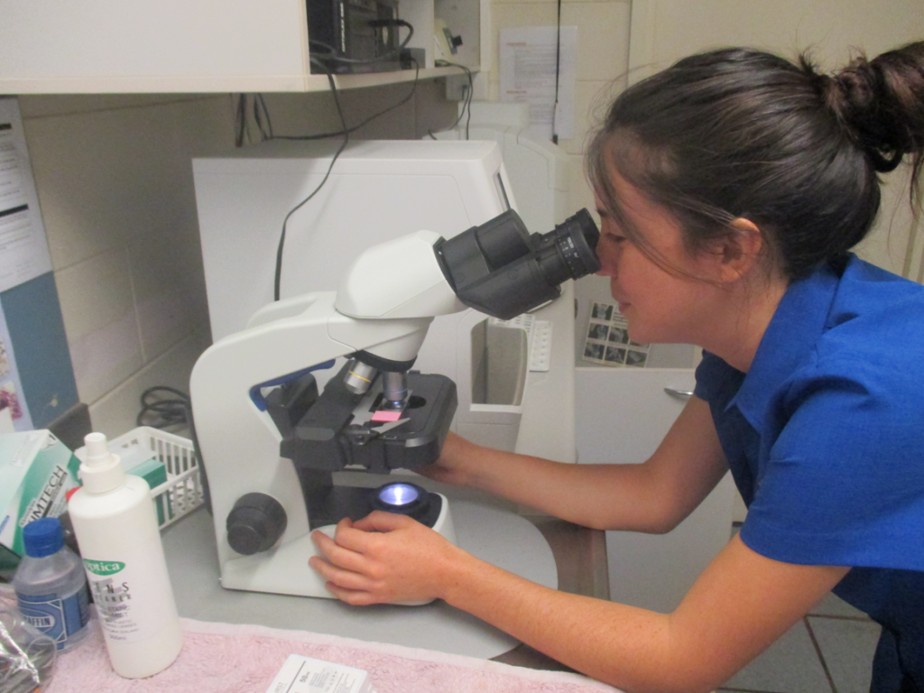 Emily using the microscope